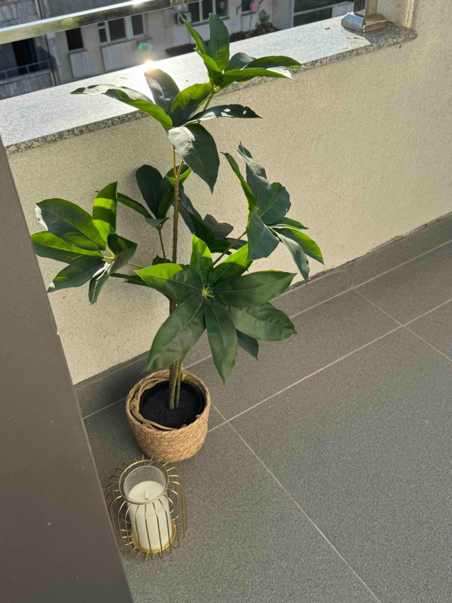 Apartment Rentnow Modern Business With 3 Bedrooms In Centre *